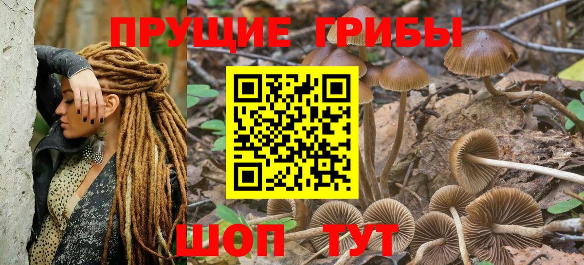Псилоцибиновые грибы GOLDEN TEACHER Ртищево