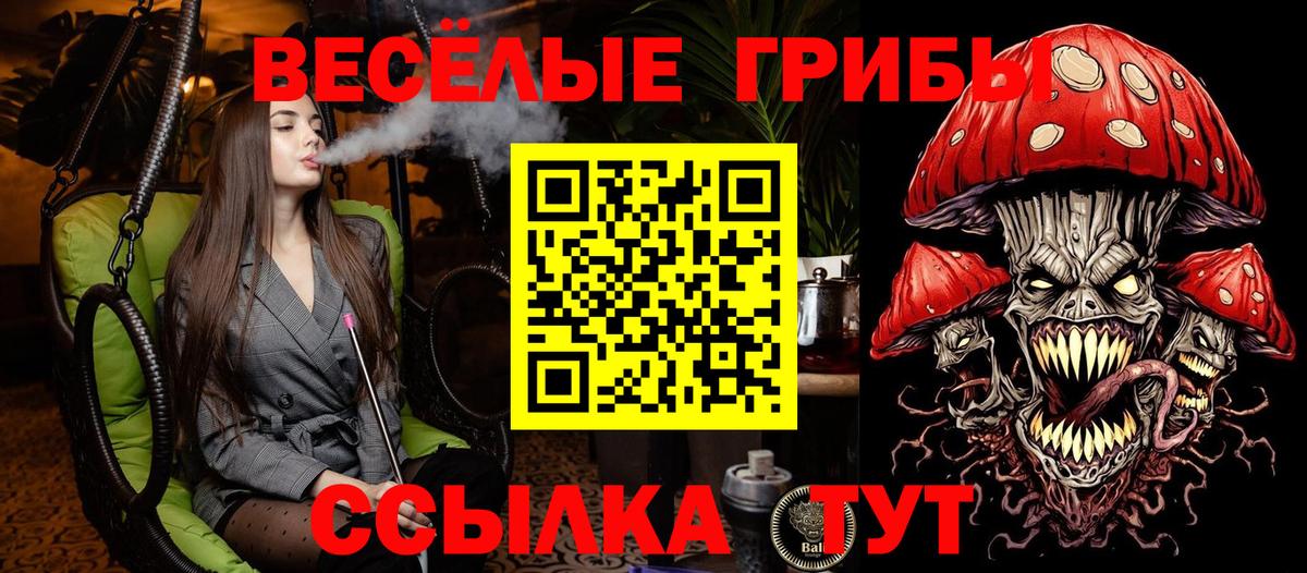 Ртищево  где купить наркоту  Вход с VPN  Псилоцибиновые грибы мухоморы  Галлюциногенные грибы Magic Shrooms 